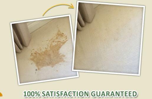 Stafford Carpet Cleaning