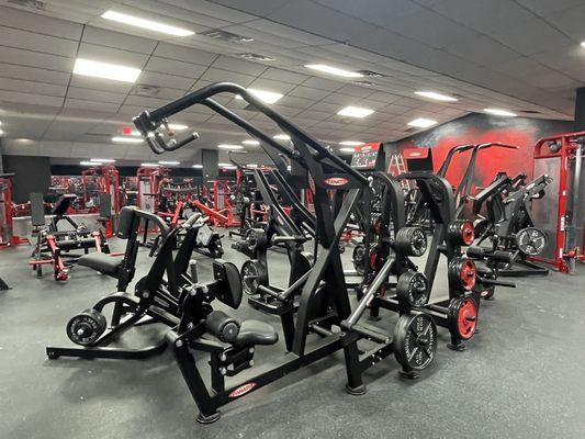 Panatta upper body and lower body plate loaded machines.