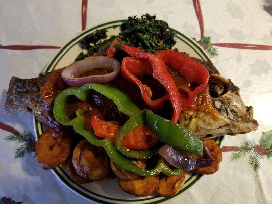 Fried tilapia lunch plate