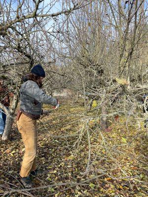 We offer fruit tree care and consults on individual trees and home orchards in the PDX Metro area.