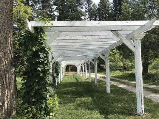 Pergola for photos or reception