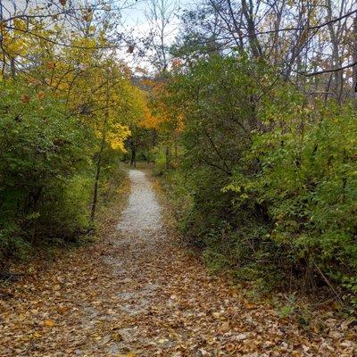 Fall on the trail.