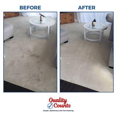 Before and After Carpet Cleaning