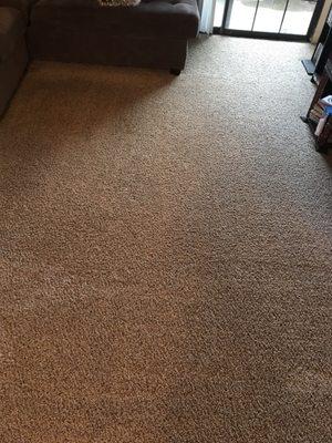 My carpet looks brand new