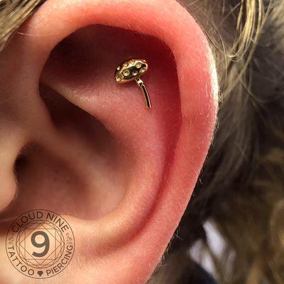 Helix piercing by Karri