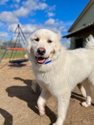 An example of the platinum package daily photo - happy boy!