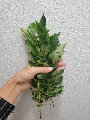 Curry Leaves