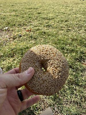 Sesame seed bagel