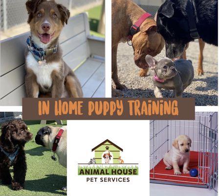 Animal House Pet Services