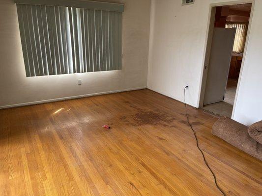 stained and damaged hard wood floor that was sanded and spot repaired.