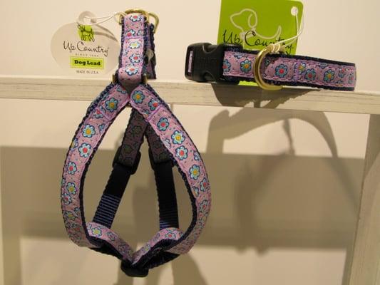 Made in the USA dog collars, leashes and harnesses by Up Country.   Catering to small dogs but up to XXL in stock or to order