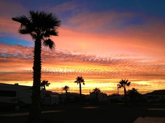 A common site here at Desert Gold RV Resort. This was taken directly from our site.