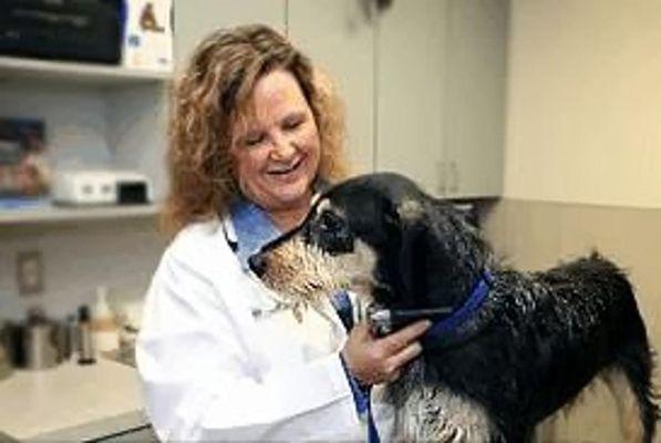 Rose Rock Veterinary Hospital & Pet Resort