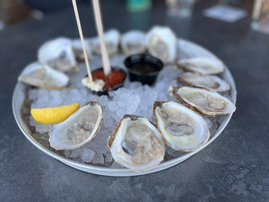 Oysters