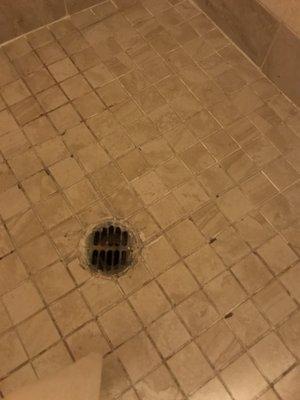 This is the grungy shower floor, complete with rusted drain cover.