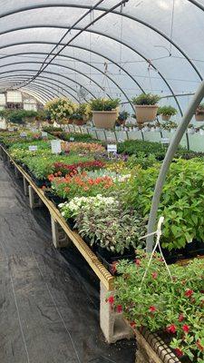 Lots of plants in the spring, well organized, and clean