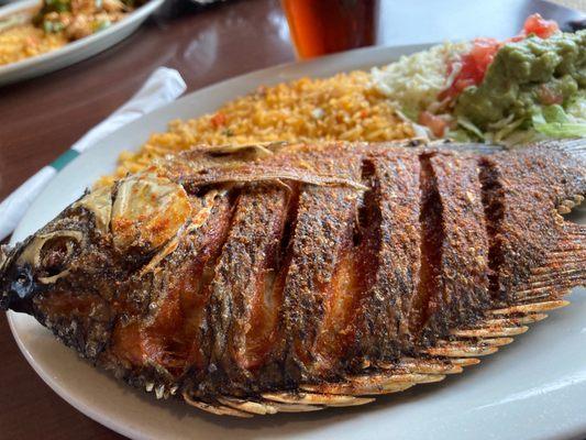 Whole grilled Tilapia.