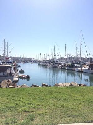 View from the office front door of the Oceanside Harbor