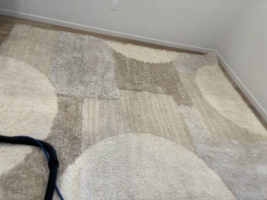 Area rug cleaning for a residential client