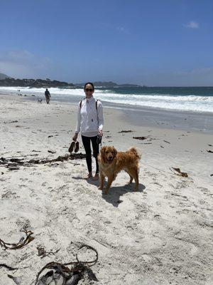 Dog-friendly Carmel Beach