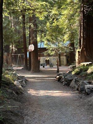 Gualala River Redwood Park