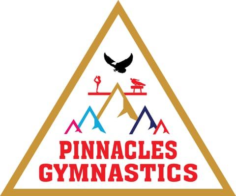 Pinnacles Gymnastics... because children deserve to be elevated!