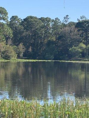 Small lake in Lake Seminole Park.