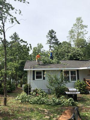 Removing storm damage trees off of the houses