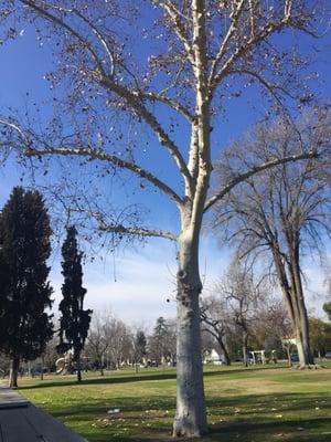 It's a glorious day today! I'm so happy I got to enjoy lunch outdoors!