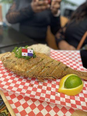 Red Snapper. Extra love for the PTY flag. If you know Panamanians you know we LOVE our flag!!!