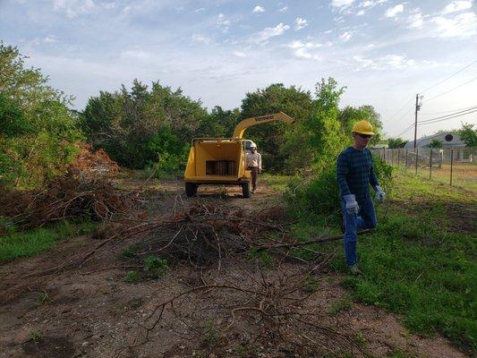 Chipping brush from a recent fence job. the mulch will then be spread along the fence line.