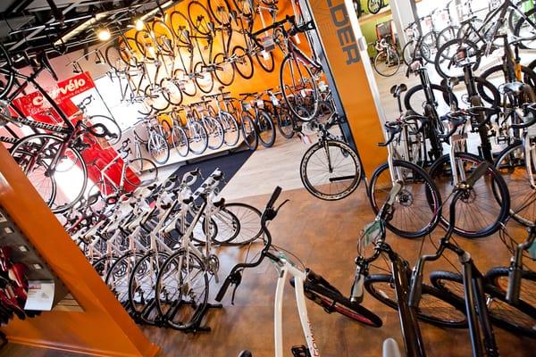 Plenty of great bikes to choose from!