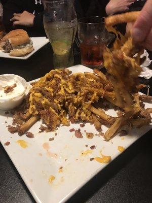 Loaded Cheese Fries!!!!  So damn good!