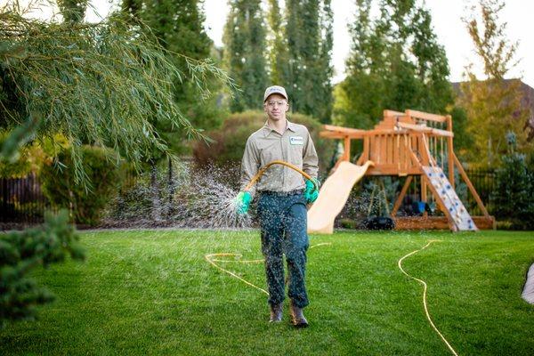 Our lawn spraying service consists of six applications of fertilizer, weed control, and insect control.