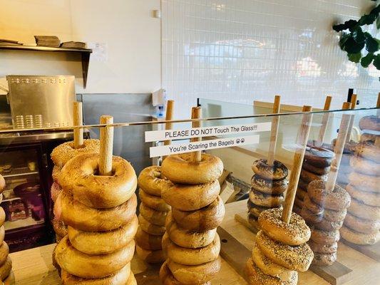 Bagels: please do not touch the glass! You're scaring the bagels