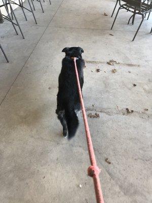 Lady has nice long walk on the patio