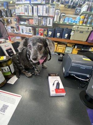 Just hanging out at the neighborhood hardware store!