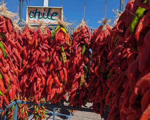 2 foot long Hatch red chile ristras in front of chile sign at Farmers Chile Market