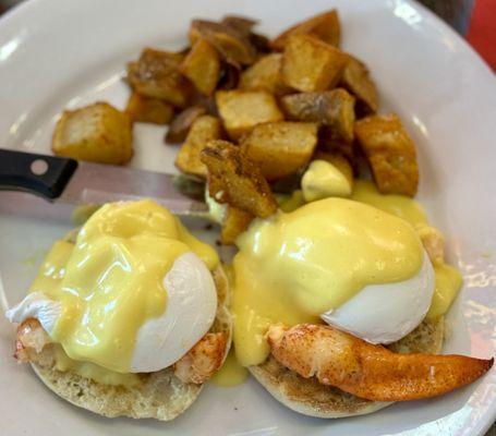 Lobster Benedict