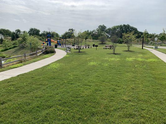 This is supposed to be a common area for residents and children - full of weeds