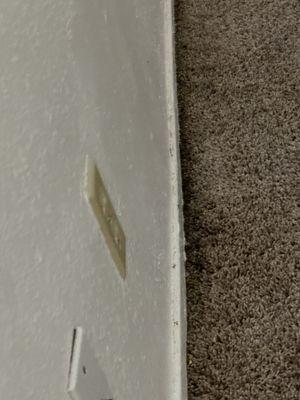 Mold from leaks that were never repaired