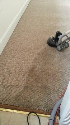 EKO Carpet & Rug Cleaning the big difference