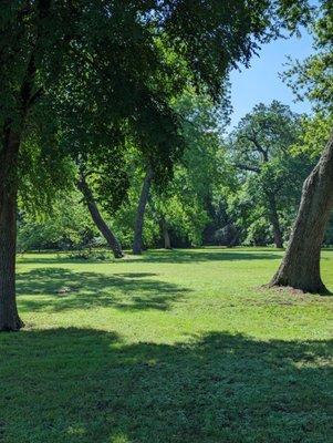 Perfect spring day in north Texas