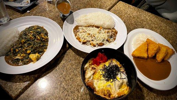 L to R- Boiled Chicken & Spinach curry,  Beef & Cheese curry, Tofu Curry, Chicken Oyakodon bowl.