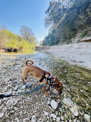 Bull Creek District Park