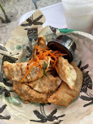 vegetable potstickers