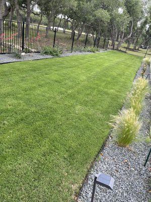 Installation of new sod , black metal edger , black star and plants