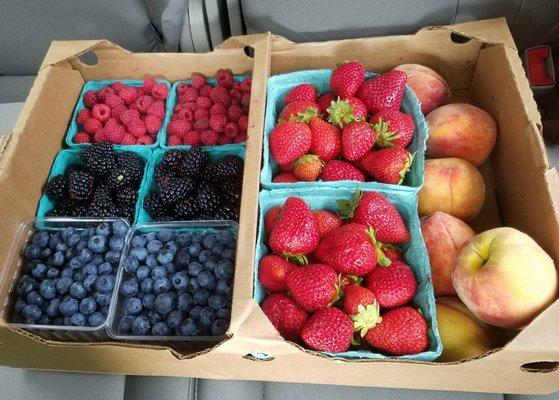 Our haul from the farmer's market this week!