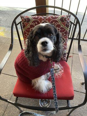 Patio dining in Asheville!