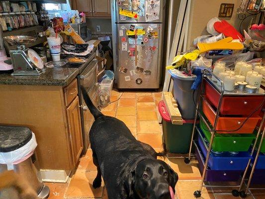 Area where the kitchen was ripped up and kitchen contents are still piled up around the kitchen in boxes.